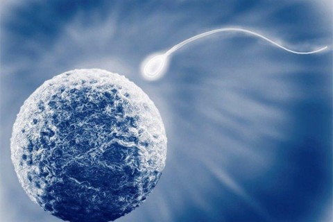 网传从小体弱多病是童子命，越难养的小孩真的命越好?