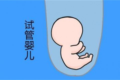 http://hengdawh.cn/post/188.html|人工试管
